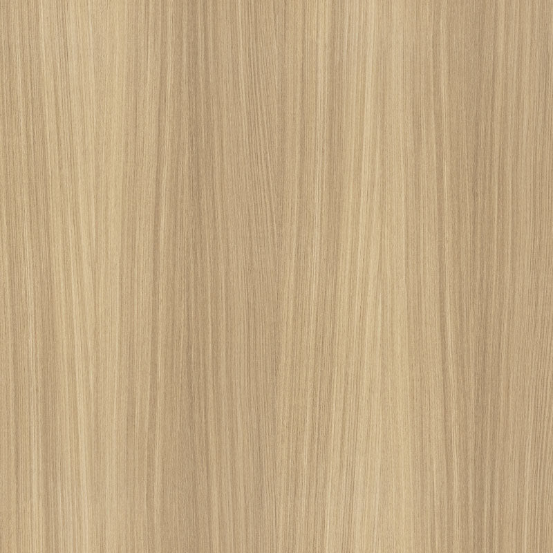 Wandpaneel Light Oak helle Eichenholzoptik 2800x1100 mm