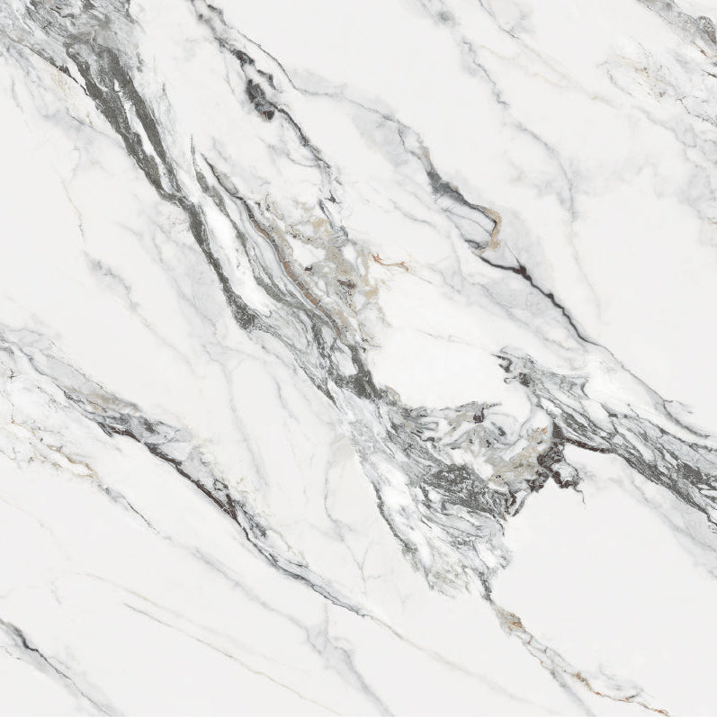 Wandpaneel Calacatta Grey graue Marmor-Optik 2800x1100 mm

